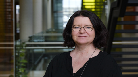 Imatges on es pot veure a la  dra Graudrún